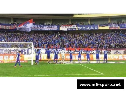 足球之星：28位球员的辉煌征程