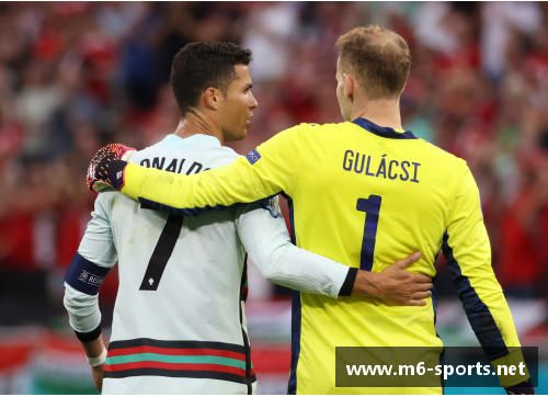 巴恩球员：新星与传奇