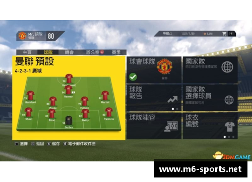 全方位解析：职业足球球员的生涯轨迹与成就探究